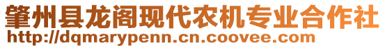 肇州縣龍閣現(xiàn)代農(nóng)機專業(yè)合作社