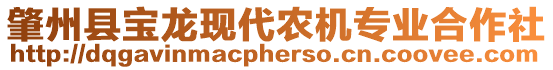 肇州縣寶龍現(xiàn)代農(nóng)機(jī)專業(yè)合作社