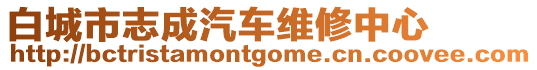 白城市志成汽車維修中心