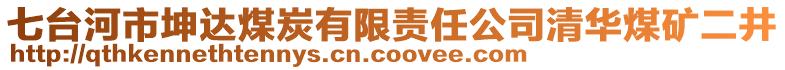 七臺河市坤達(dá)煤炭有限責(zé)任公司清華煤礦二井