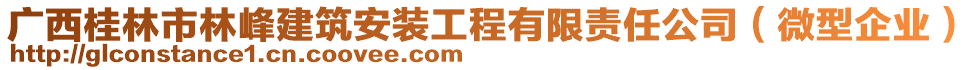 廣西桂林市林峰建筑安裝工程有限責任公司（微型企業(yè)）