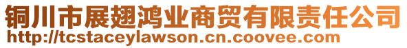 銅川市展翅鴻業(yè)商貿(mào)有限責(zé)任公司