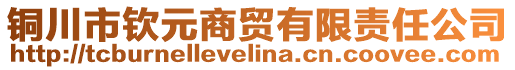 銅川市欽元商貿有限責任公司