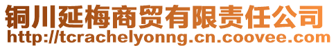 銅川延梅商貿(mào)有限責任公司