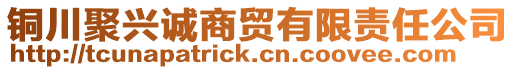 銅川聚興誠商貿有限責任公司