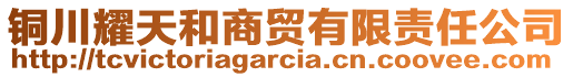 銅川耀天和商貿(mào)有限責(zé)任公司