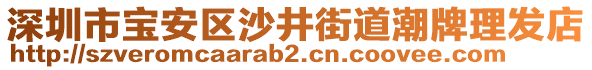 深圳市寶安區(qū)沙井街道潮牌理發(fā)店