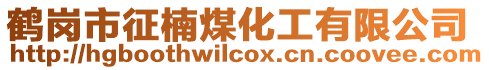 鶴崗市征楠煤化工有限公司