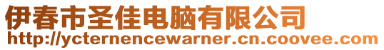 伊春市圣佳電腦有限公司