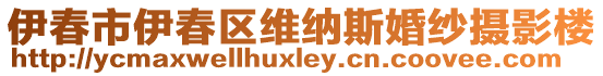 伊春市伊春區(qū)維納斯婚紗攝影樓