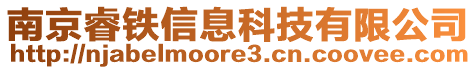 南京睿鐵信息科技有限公司