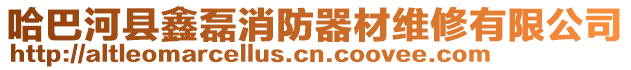 哈巴河縣鑫磊消防器材維修有限公司