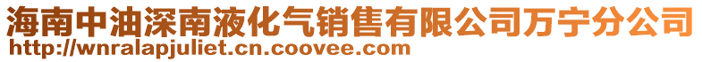 海南中油深南液化气销售有限公司万宁分公司