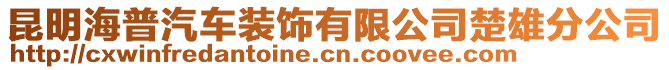 昆明海普汽车装饰有限公司楚雄分公司