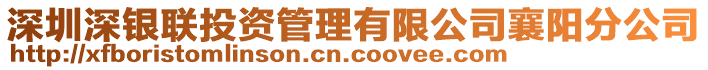 深圳深銀聯(lián)投資管理有限公司襄陽分公司