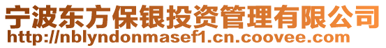 寧波東方保銀投資管理有限公司