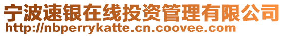 寧波速銀在線投資管理有限公司