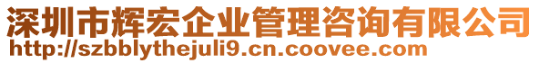 深圳市輝宏企業(yè)管理咨詢有限公司