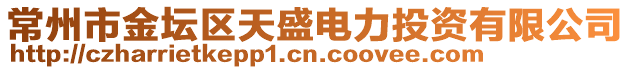 常州市金壇區(qū)天盛電力投資有限公司