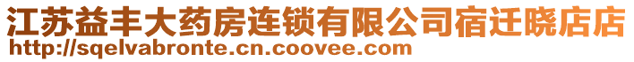江蘇益豐大藥房連鎖有限公司宿遷曉店店