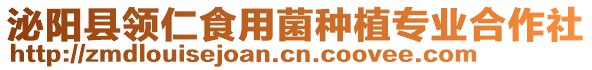 泌陽(yáng)縣領(lǐng)仁食用菌種植專業(yè)合作社