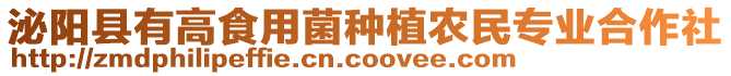 泌陽縣有高食用菌種植農民專業合作社