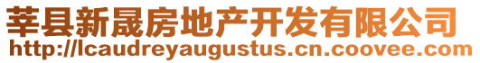 莘縣新晟房地產(chǎn)開發(fā)有限公司