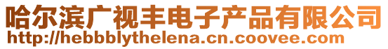 哈爾濱廣視豐電子產品有限公司