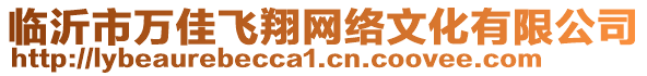 臨沂市萬佳飛翔網(wǎng)絡(luò)文化有限公司