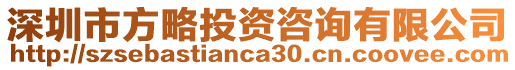 深圳市方略投資咨詢有限公司