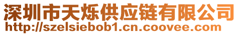 深圳市天爍供應(yīng)鏈有限公司