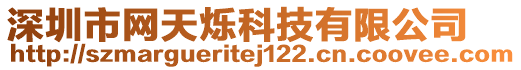 深圳市網(wǎng)天爍科技有限公司