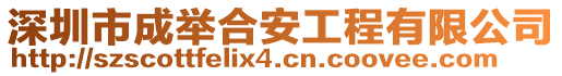 深圳市成舉合安工程有限公司