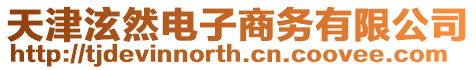 天津泫然電子商務(wù)有限公司