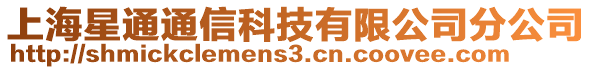 上海星通通信科技有限公司分公司