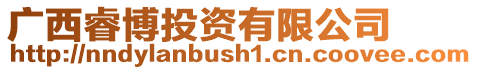 廣西睿博投資有限公司