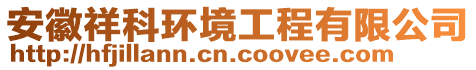 安徽祥科環(huán)境工程有限公司