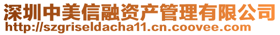 深圳中美信融資產(chǎn)管理有限公司