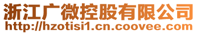 浙江廣微控股有限公司