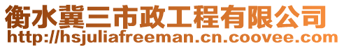 衡水冀三市政工程有限公司