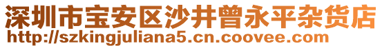 深圳市寶安區(qū)沙井曾永平雜貨店