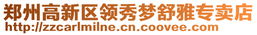 鄭州高新區(qū)領(lǐng)秀夢(mèng)舒雅專賣店