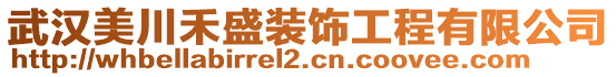 武漢美川禾盛裝飾工程有限公司