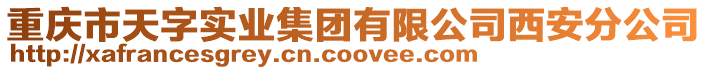 重慶市天字實(shí)業(yè)集團(tuán)有限公司西安分公司