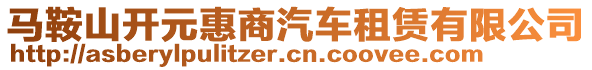 馬鞍山開元惠商汽車租賃有限公司