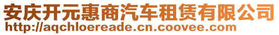 安慶開元惠商汽車租賃有限公司