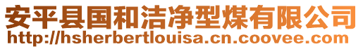 安平縣國(guó)和潔凈型煤有限公司