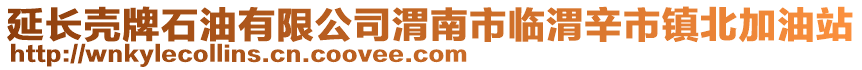 延長殼牌石油有限公司渭南市臨渭辛市鎮(zhèn)北加油站