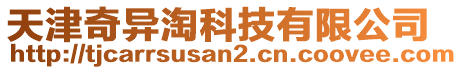 天津奇異淘科技有限公司