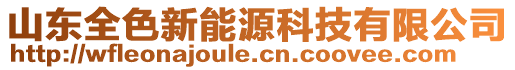 山東全色新能源科技有限公司